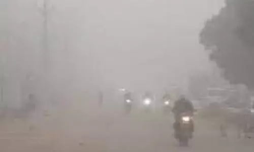 Bihar Weather : कोहरा ऐसा कि सड़क गायब