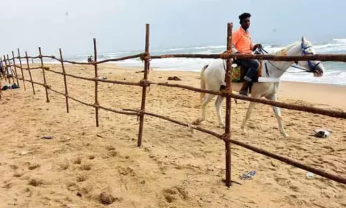 Chennai मरीना कर्फ्यू बढ़ाया गया
