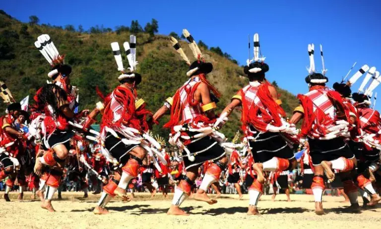 Nagaland में हॉर्नबिल फेस्टिवल के लिए प्रोटेक्टेड एरिया में ढील दी गई