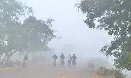 Maharashtra में शीतलहर का कहर: पुणे में 9.4°C, हवेली में 7.8°C तापमान