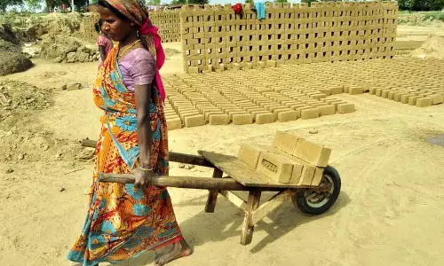 बारिश की मार और बढ़ती लागत के कारण Punjab में ईंटों की कीमतें नई ऊंचाई पर पहुंच गई