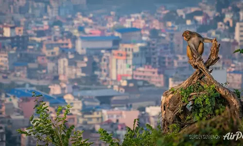 Kathmandu: नेपाल में दित्वा तूफान के आंशिक प्रभाव से अलर्ट जारी