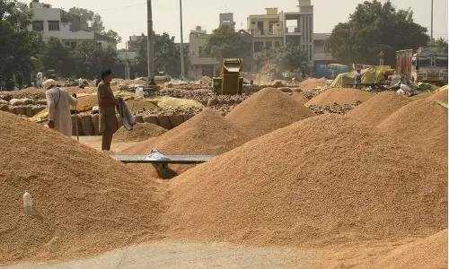 कैथल केंद्रों पर समय-सीमा के बाद धान की खरीद की जांच में कोई प्रगति नहीं हुई कैथल केंद्रों पर समय-सीमा के बाद धान की खरीद की जांच में कोई प्रगति नहीं हुई