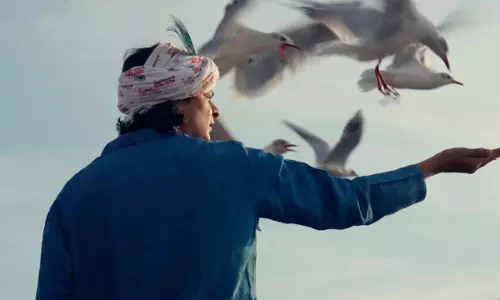Laalo Krishna Sada Sahaayate बॉक्स ऑफिस