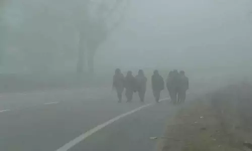 IMD ने ओडिशा के लिए कोहरे की चेतावनी जारी की, न्यूनतम तापमान में भारी गिरावट की संभावना