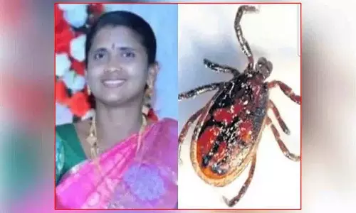 AP में नए कीट रोग से दहशत, बीमार पड़ने के बाद महिला की मौत