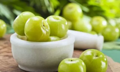 क्या आंवला स्कैल्प की समस्याओं के लिए सबसे शक्तिशाली आयुर्वेदिक समाधान है? क्या आंवला स्कैल्प की समस्याओं के लिए सबसे शक्तिशाली आयुर्वेदिक समाधान है?