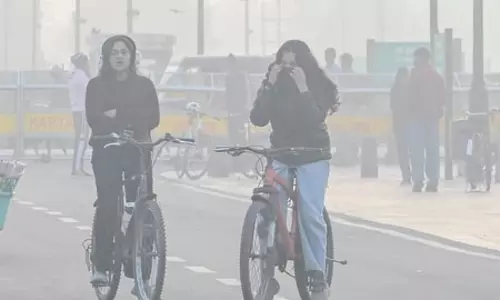 सुप्रीम कोर्ट का सीएक्यूएम को निर्देश, पराली छोड़कर प्रदूषण रोकने के बाकी प्रभावी उपाय बताएं सुप्रीम कोर्ट का सीएक्यूएम को निर्देश, पराली छोड़कर प्रदूषण रोकने के बाकी प्रभावी उपाय बताएं