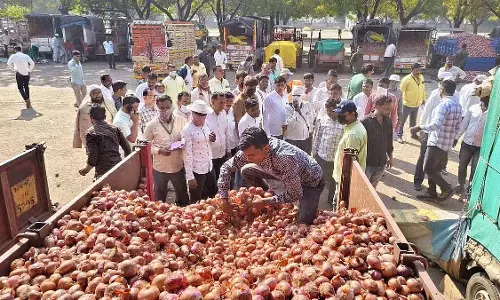 Nashik : प्याज के दाम गिरकर ₹5-8/Kg पर आ गए, एक्सपोर्ट बैन और पॉलिसी की वजह से किसान परेशान