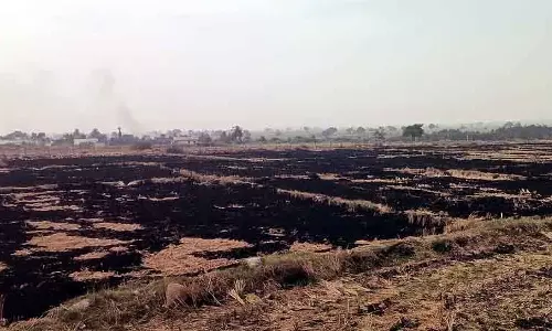 चावल के भूसे में आग: बेहतर उपायों के लिए सुझाव