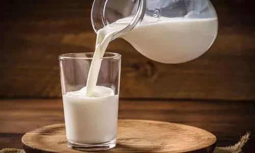 क्या आप वज़न कम करना चाहते हैं? लेकिन जानते हैं कि हर दिन milk पीने का सबसे अच्छा समय कौन सा है? क्या आप वज़न कम करना चाहते हैं? लेकिन जानते हैं कि हर दिन milk पीने का सबसे अच्छा समय कौन सा है?