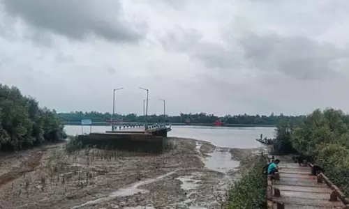 इको एंग्जाइटी एक बड़ी समस्या, जलवायु परिवर्तन का मेंटल हेल्थ पर पड़ रहा असर इको एंग्जाइटी एक बड़ी समस्या, जलवायु परिवर्तन का मेंटल हेल्थ पर पड़ रहा असर