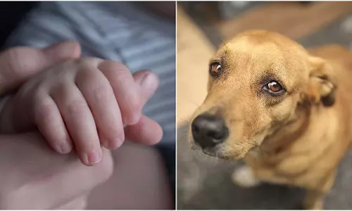 सड़क पर सो रहे बच्चों पर Stray Dogs की नज़र