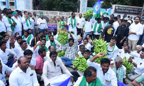 Andhra में एक किलो केला माचिस से भी सस्ता है: जगन मोहन रेड्डी Andhra में एक किलो केला माचिस से भी सस्ता है: जगन मोहन रेड्डी