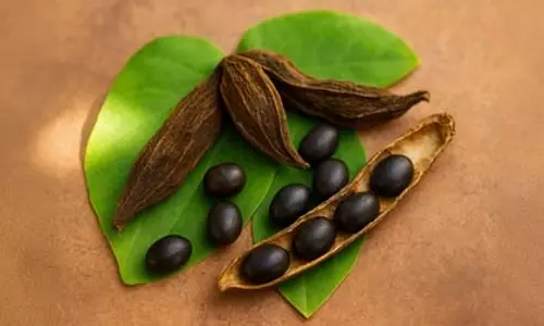 क्रोंच बीज: पुरुष के लिए एक चमत्कारी आयुर्वेदिक टॉनिक, जो तन-मन दोनों का रखे ख्याल