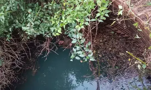 हाई-वोल्टेज शिकार जाल ने ली युवक की जान, शव छिपाने के आरोप में तीन गिरफ्तार