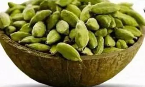 गले की खराश से मुंह के छाले तक, संक्रमण दूर करने में कारगर इलायची गले की खराश से मुंह के छाले तक, संक्रमण दूर करने में कारगर इलायची