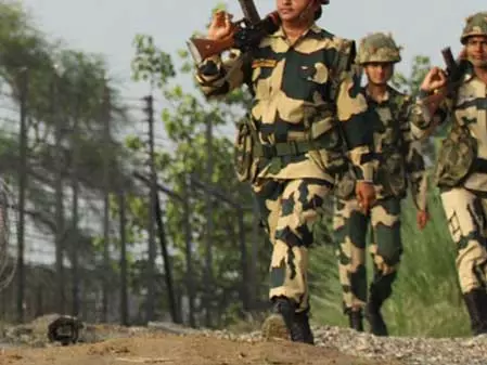 BSF ने हथियार तस्करी को किया नाकाम, 200 से ज्यादा हथियार बरामद BSF ने हथियार तस्करी को किया नाकाम, 200 से ज्यादा हथियार बरामद