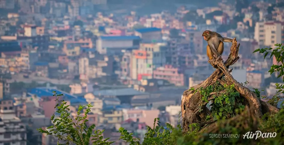 Kathmandu: नेपाल में दित्वा तूफान के आंशिक प्रभाव से अलर्ट जारी Kathmandu: नेपाल में दित्वा तूफान के आंशिक प्रभाव से अलर्ट जारी