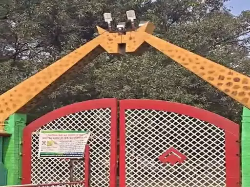 भिलाई मैत्री बाग में सफेद बाघिन की मौत भिलाई मैत्री बाग में सफेद बाघिन की मौत