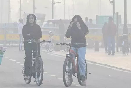 सुप्रीम कोर्ट का सीएक्यूएम को निर्देश, पराली छोड़कर प्रदूषण रोकने के बाकी प्रभावी उपाय बताएं सुप्रीम कोर्ट का सीएक्यूएम को निर्देश, पराली छोड़कर प्रदूषण रोकने के बाकी प्रभावी उपाय बताएं