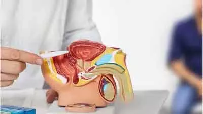 बार-बार रात में पेशाब आना पुरुषों में बढ़ते Prostate का संकेत बार-बार रात में पेशाब आना पुरुषों में बढ़ते Prostate का संकेत