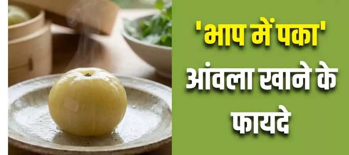 कच्चा या अचार नहीं, रोज खाएं भाप में पका Amla, पाएँ 5 चमत्कारी फायदे कच्चा या अचार नहीं, रोज खाएं भाप में पका Amla, पाएँ 5 चमत्कारी फायदे