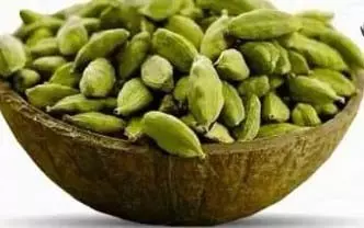 गले की खराश से मुंह के छाले तक, संक्रमण दूर करने में कारगर इलायची गले की खराश से मुंह के छाले तक, संक्रमण दूर करने में कारगर इलायची