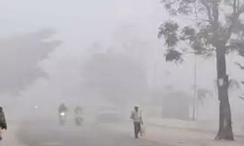 Bihar Weather :  सर्द हवाएं, कोहरा छाया , जानें आपके जिले में आज का मौसम