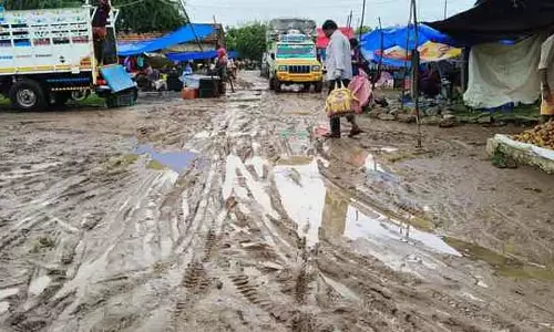 रैट फीवर और मिलियासिस का खतरा : बारिश के पानी में नंगे पैर चलने से बचने की सलाह