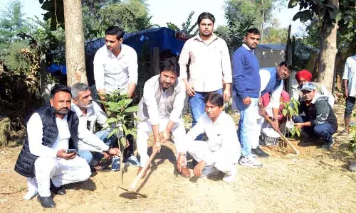 कांग्रेस ने Karnal में बीजेपी ऑफिस सड़क के लिए कटे पेड़ों की जगह 40 पौधे लगाए कांग्रेस ने Karnal में बीजेपी ऑफिस सड़क के लिए कटे पेड़ों की जगह 40 पौधे लगाए