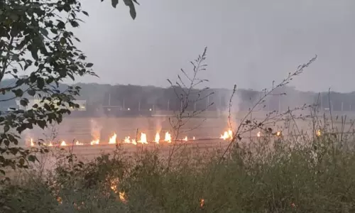 Punjab और हरियाणा में 2025 तक खेतों में आग लगने की घटनाओं में 90 प्रतिशत की कमी आएगी Punjab और हरियाणा में 2025 तक खेतों में आग लगने की घटनाओं में 90 प्रतिशत की कमी आएगी