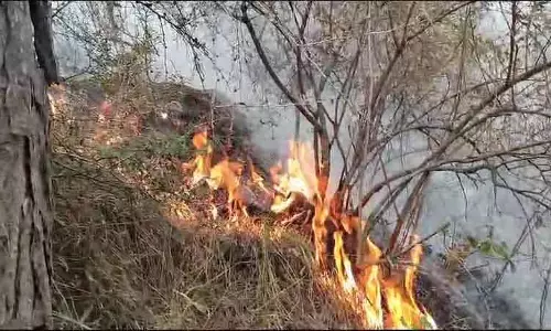 Gurez Valley में नियंत्रण रेखा के पास उच्च जोखिम आग से जूझ रहे हैं वन अधिकारी
