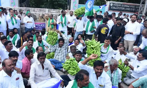 Andhra में एक किलो केला माचिस से भी सस्ता है: जगन मोहन रेड्डी