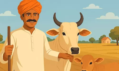Jaipur: मुख्यमंत्री ने पशु बीमा योजना से किसानों को लाभ पहुंचाने की शुरुआत की