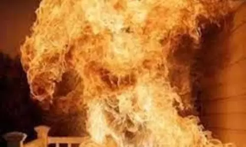 Araria: चौकता गांव में आगजनी में पांच घर जले, लाखों का हुआ नुकसान