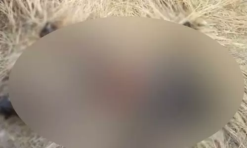 नग्न जला हुआ शव मिला, कोरबा में सनसनी