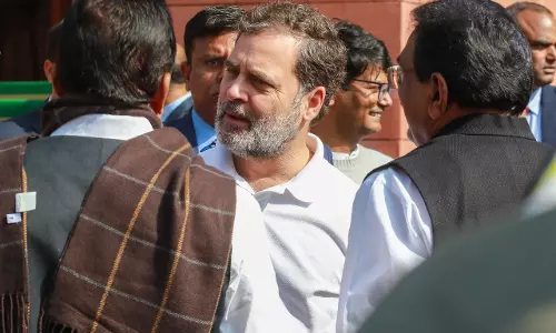 बेचारे कुत्ते ने क्या किया? कुत्ते के झगड़े पर रेणुका के सपोर्ट में आए राहुल बेचारे कुत्ते ने क्या किया? कुत्ते के झगड़े पर रेणुका के सपोर्ट में आए राहुल
