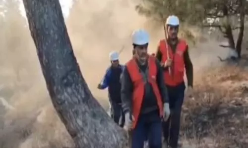Gurez Valley में नियंत्रण रेखा पर लगी जंगल की आग पर पाया गया काबू