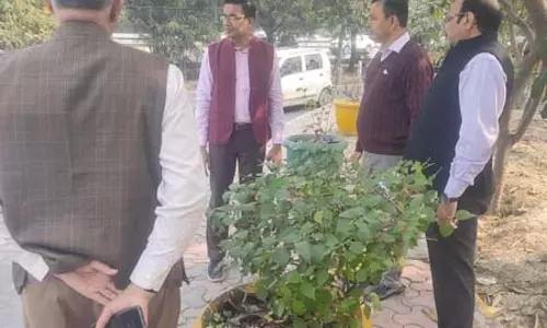 सीईओ का औचक निरीक्षण, सुपरवाइजर का रोका वेतन, स्वास्थ्य निरीक्षक से मांगा स्पष्टीकरण सीईओ का औचक निरीक्षण, सुपरवाइजर का रोका वेतन, स्वास्थ्य निरीक्षक से मांगा स्पष्टीकरण