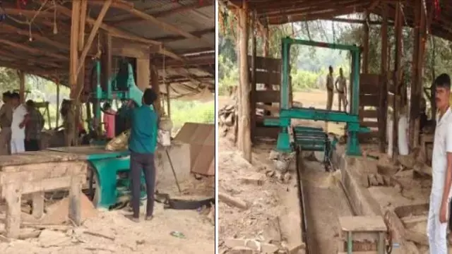 Odisha Forest Department ने जब्त की 25 लाख रुपये की अवैध लकड़ी