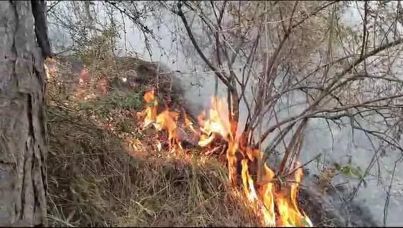 Gurez Valley में नियंत्रण रेखा के पास उच्च जोखिम आग से जूझ रहे हैं वन अधिकारी Gurez Valley में नियंत्रण रेखा के पास उच्च जोखिम आग से जूझ रहे हैं वन अधिकारी