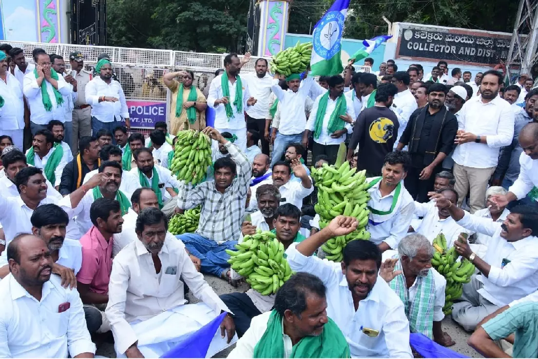 Andhra में एक किलो केला माचिस से भी सस्ता है: जगन मोहन रेड्डी Andhra में एक किलो केला माचिस से भी सस्ता है: जगन मोहन रेड्डी