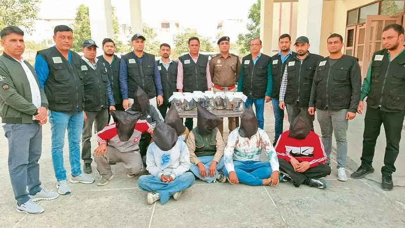 STF ने रोहित गोदारा गैंग के 7 शार्पशूटरों को पकड़ा दो मर्डर की साज़िशें नाकाम की गईं STF ने रोहित गोदारा गैंग के 7 शार्पशूटरों को पकड़ा दो मर्डर की साज़िशें नाकाम की गईं