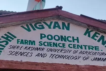 Poonch में ऑर्गेनिक खेती ने रफ़्तार पकड़ी: किसानों ने सस्टेनेबल खेती को अपनाया Poonch में ऑर्गेनिक खेती ने रफ़्तार पकड़ी: किसानों ने सस्टेनेबल खेती को अपनाया
