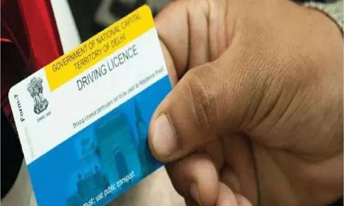 Punjab: वाहन चालकों को बड़ी राहत, ड्राइविंग लाइसेंस पर कोर्ट का बड़ा फैसला