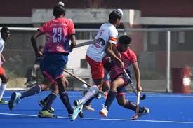 Ludhiana: PAU ने गुलदाउदी की नई किस्म का नाम साहिर लुधियानवी के नाम पर रखा