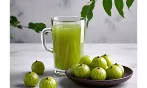 Amla Juice Benefits: कमजोर आंखों से लेकर कब्ज से छुटकारा दिलाएगा आंवला जूस Amla Juice Benefits: कमजोर आंखों से लेकर कब्ज से छुटकारा दिलाएगा आंवला जूस