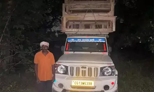 वन विभाग की कार्रवाई, पिकअप में लोड अवैध लकड़ी से बने तख्त पकड़ाए