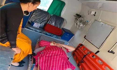 Himachal: जिस बैल को पाला, उसी ने किया महिला पर जानलेवा हमला Himachal: जिस बैल को पाला, उसी ने किया महिला पर जानलेवा हमला